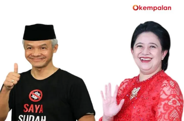 Banteng vs Celeng