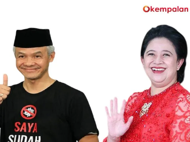 Banteng vs Celeng