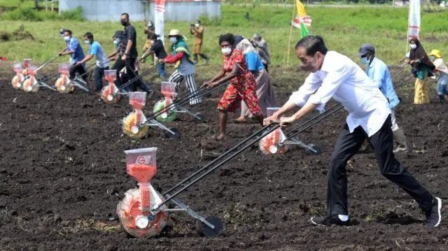 Produktivitas Pertanian di Papua Barat