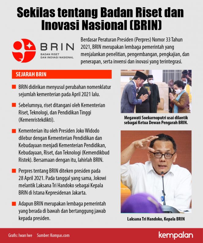 
					Sekilas tentang Badan Riset dan Inovasi Nasional (BRIN)