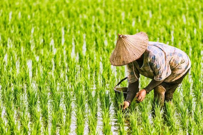 Bangsa yang kehilangan tanah, akan kehilangan masa depannya
