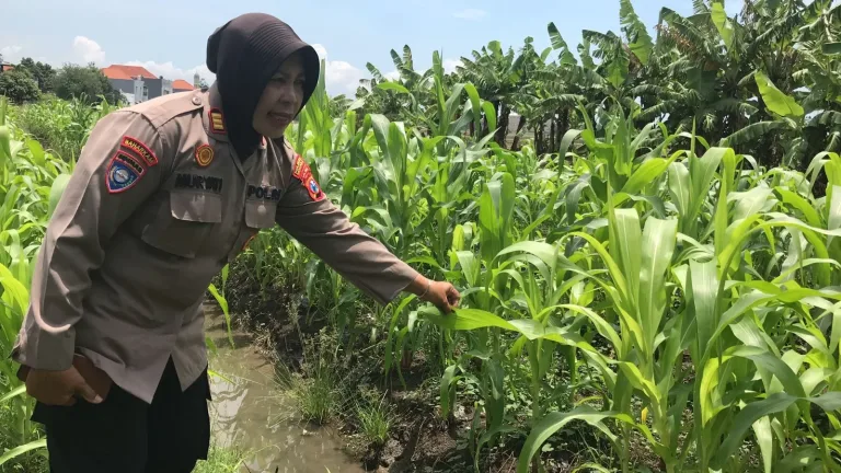 jatim